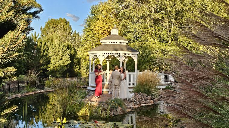 Couple exchanging vows at the gazebo across the pond at On Collin's Pond