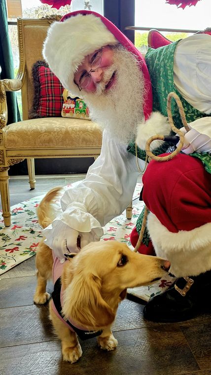 Santa Phil greeting a golden retriever at an off-site Christmas event