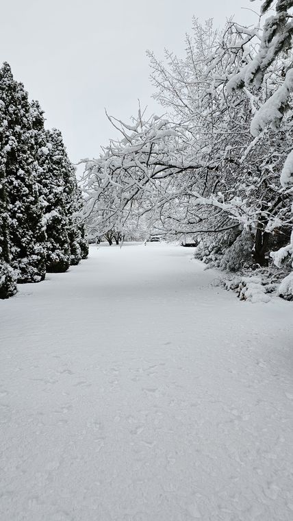 Fresh snow along the tree-lined path at On Collin's Pond in Middleton, Idaho